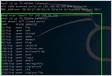 Failed to resolve IP Address nmap on Kali Linux